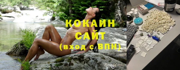 эйфоретик Каменка