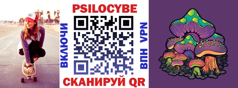 Купить закладки  Новая Ляля  Псилоцибиновые грибы Magic Shrooms 
